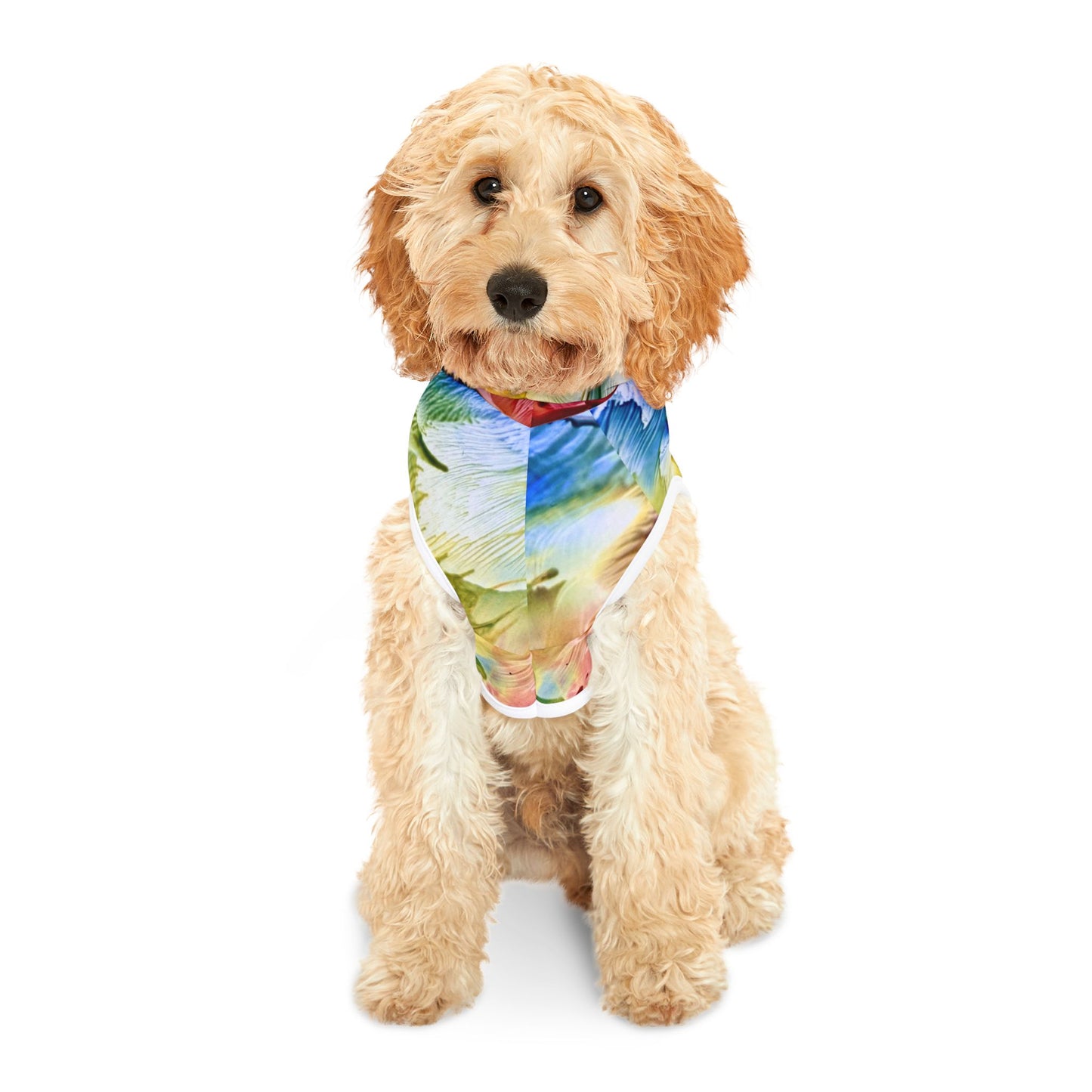 Pet Hoodie, Earth, Art Design by Sincthus