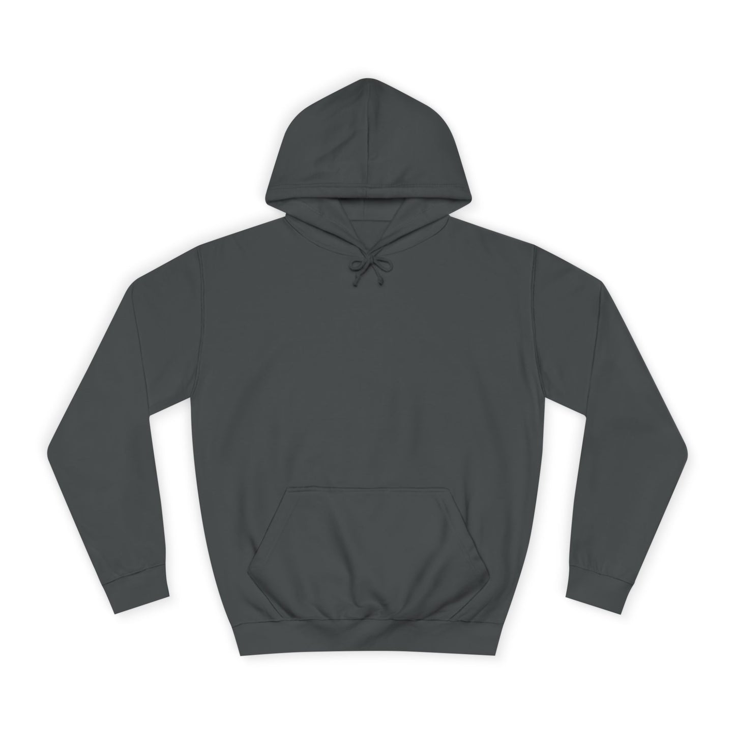 Unisex College Hoodie Sincthus Back Logo