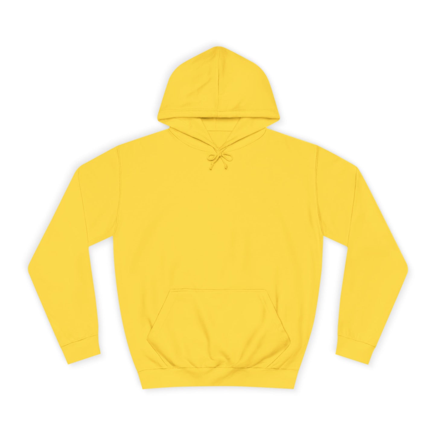 Unisex College Hoodie Sincthus Back Logo