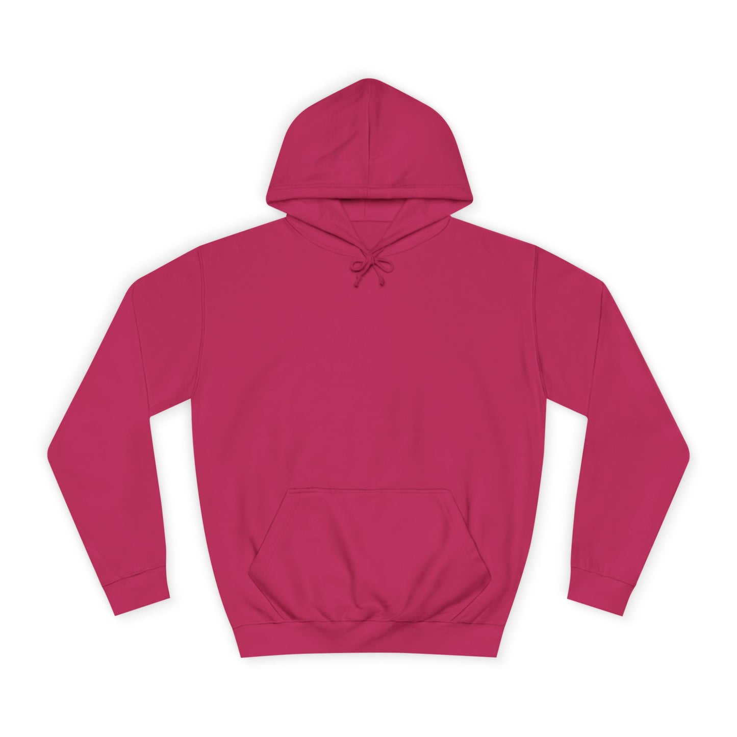 Unisex College Hoodie Sincthus Back Logo