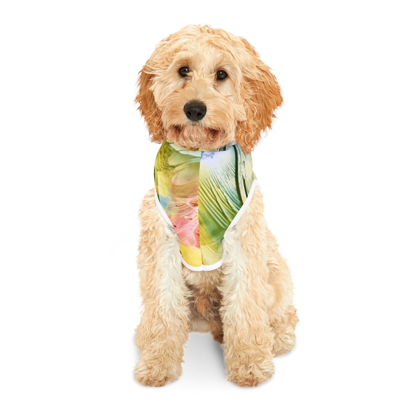Pet Hoodie, Earth, Art Design by Sincthus