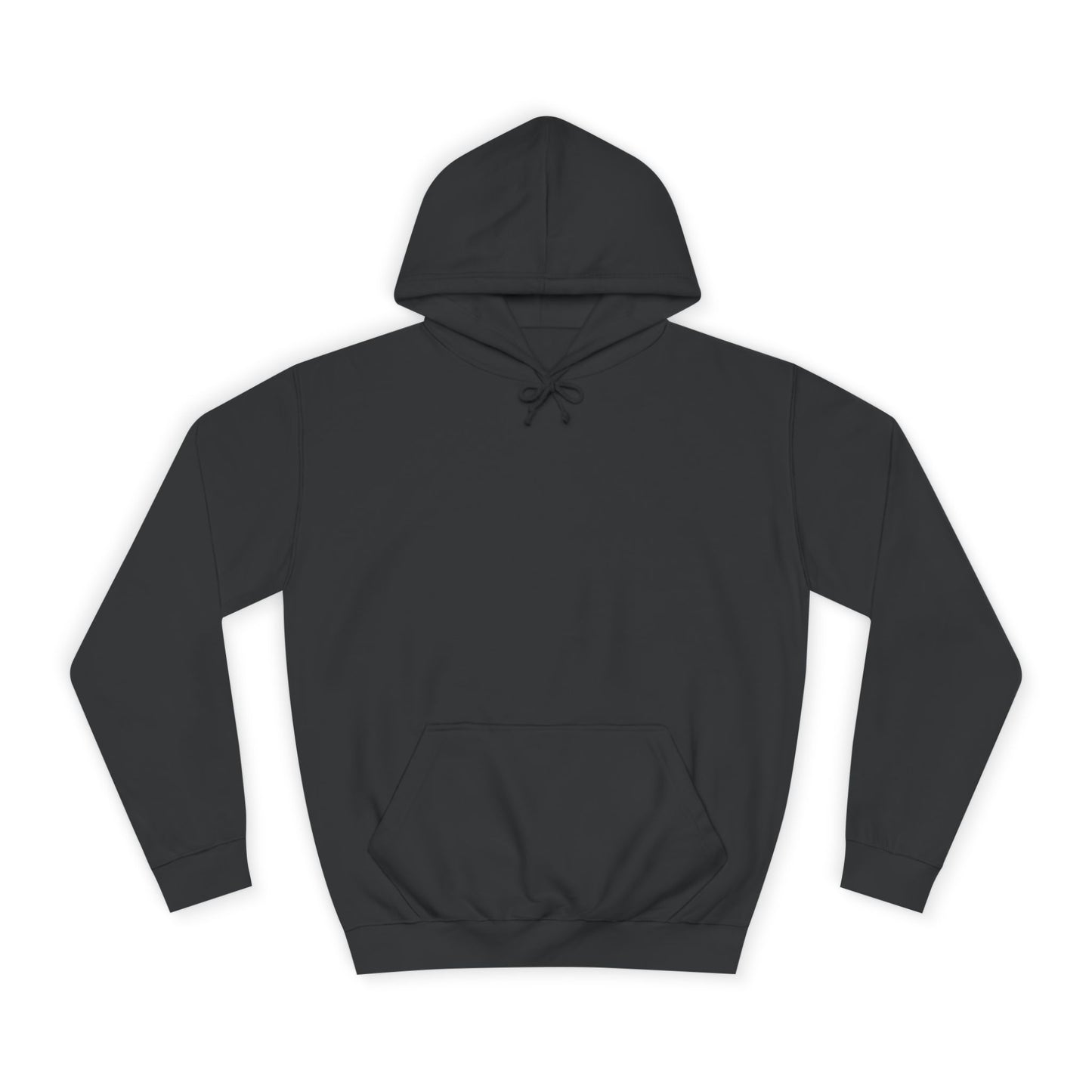 Unisex College Hoodie Sincthus Back Logo