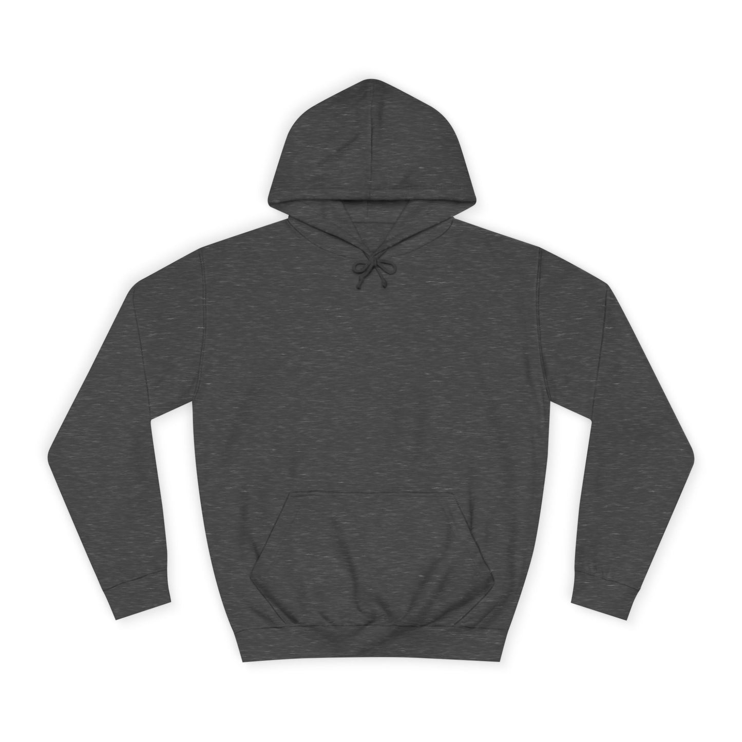 Unisex College Hoodie Sincthus Back Logo
