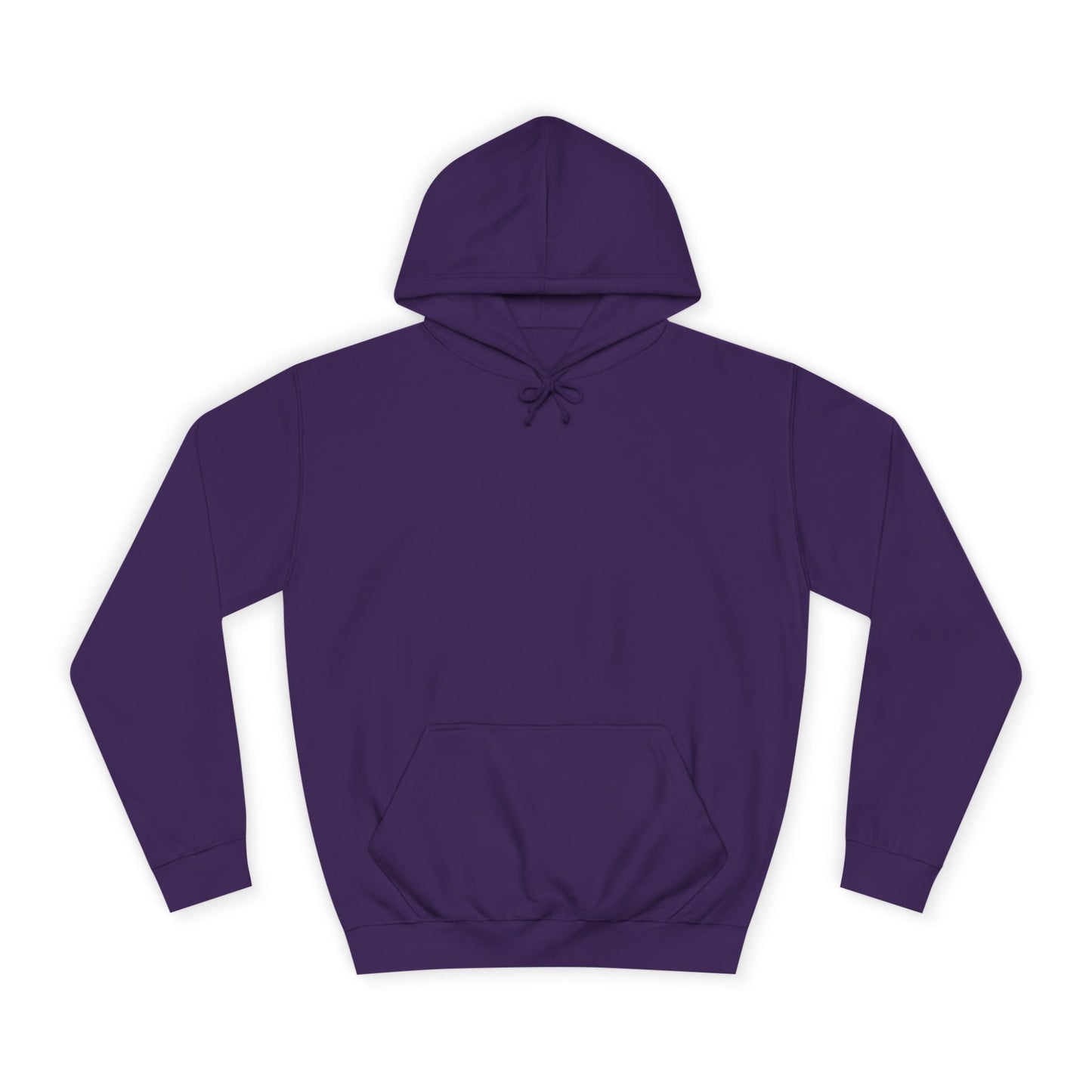 Unisex College Hoodie Sincthus Back Logo