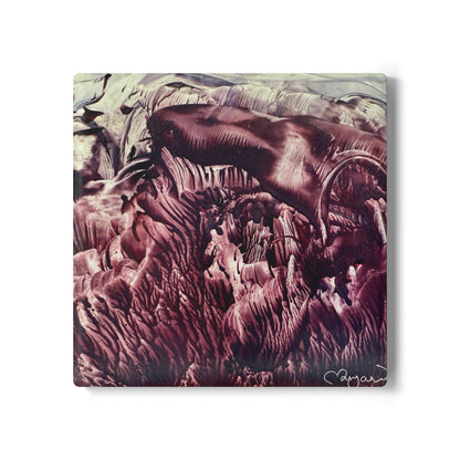 Ceramic Coaster, Wild Life, Art Design by Sincthus
